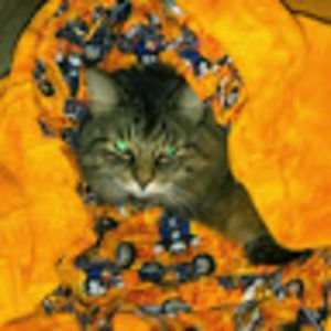 Meet your Posher, Carol